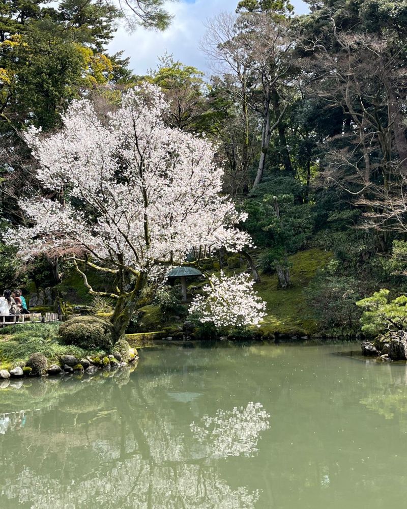 Japanese garden and water